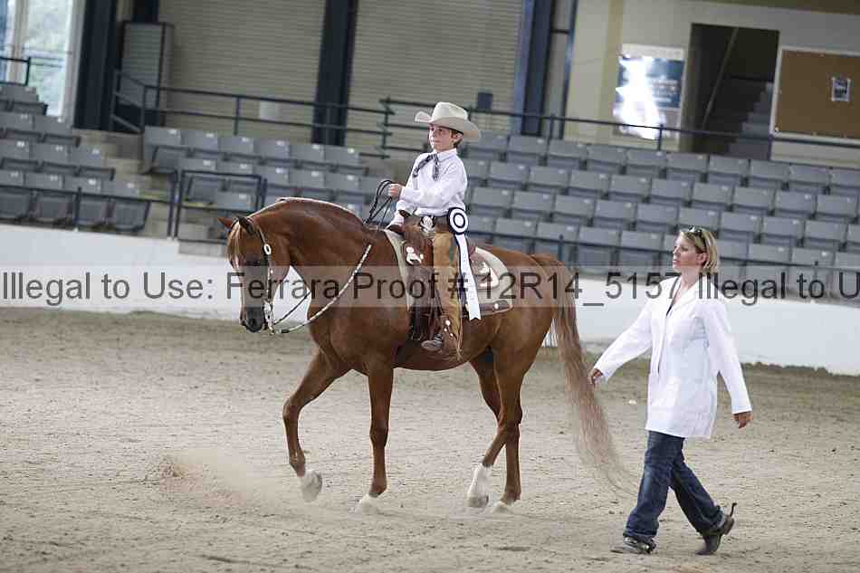 Proof Number 12r14_5157