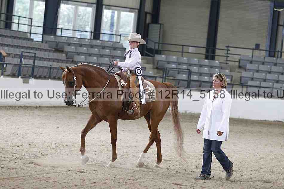 Proof Number 12r14_5158