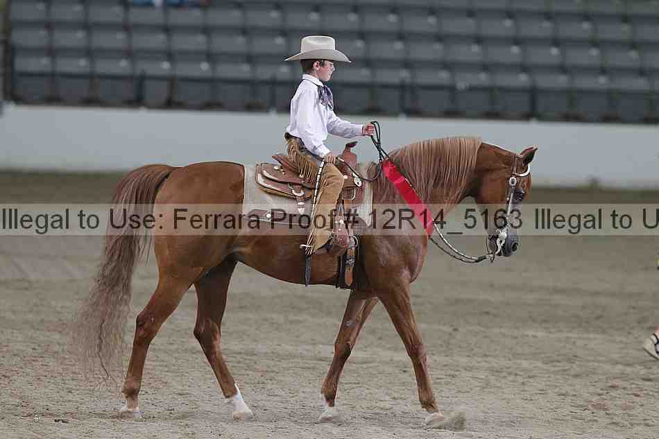 Proof Number 12r14_5163