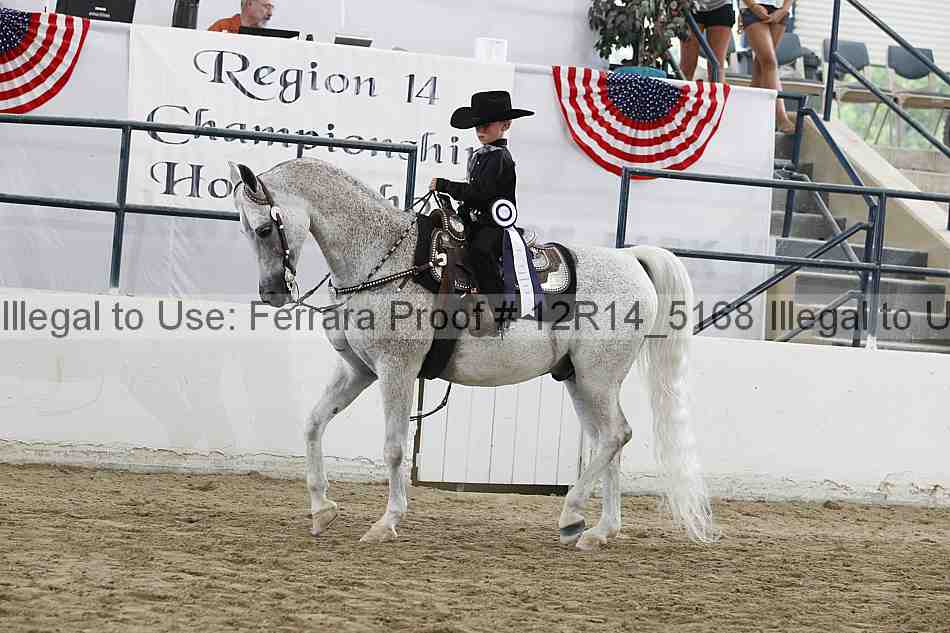 Proof Number 12r14_5168