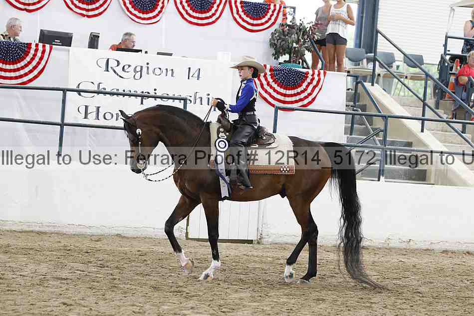 Proof Number 12r14_5172
