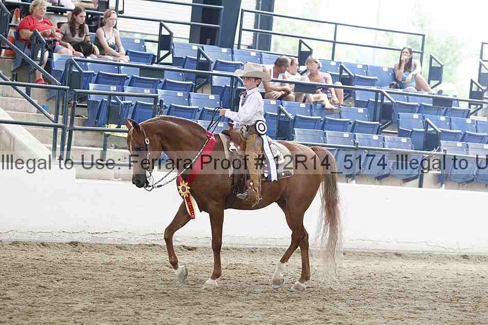 Proof Number 12r14_5174