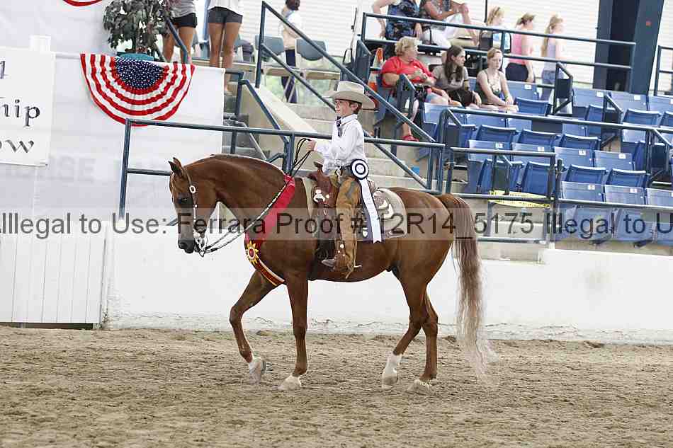 Proof Number 12r14_5175