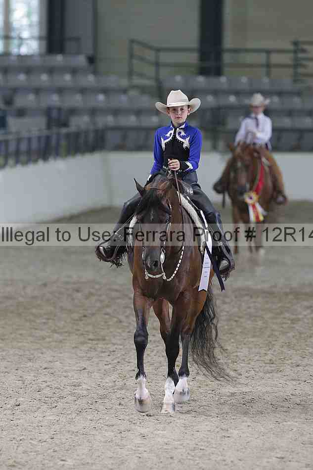 Proof Number 12r14_5181