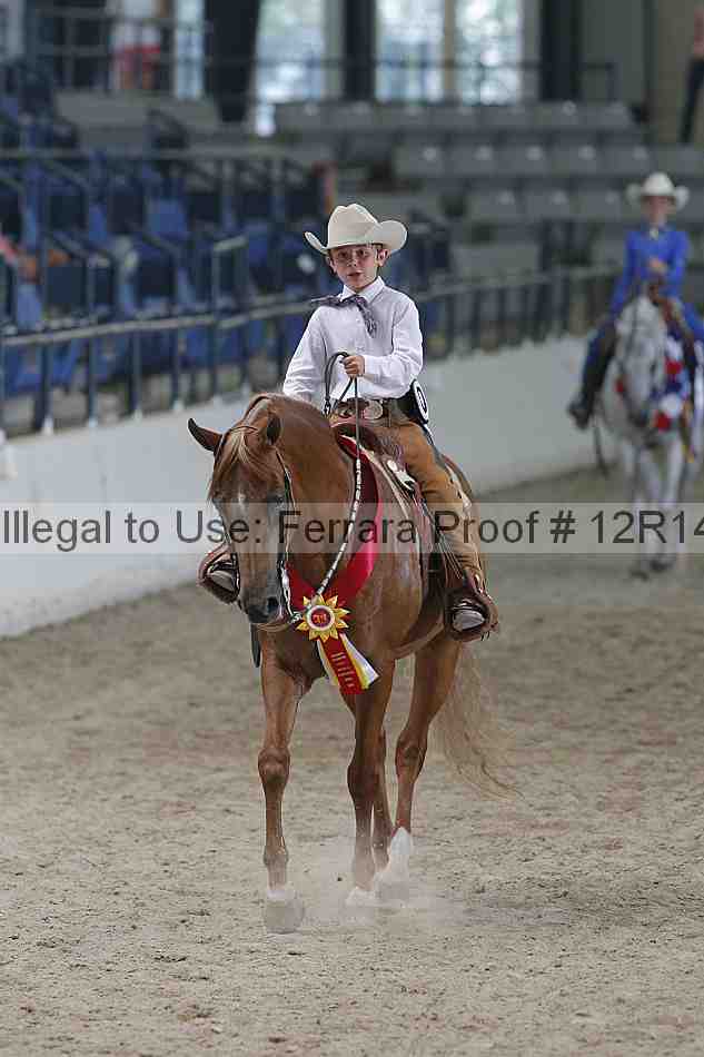Proof Number 12r14_5184