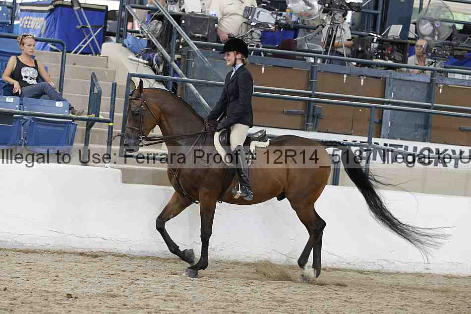 Proof Number 12r14_5187