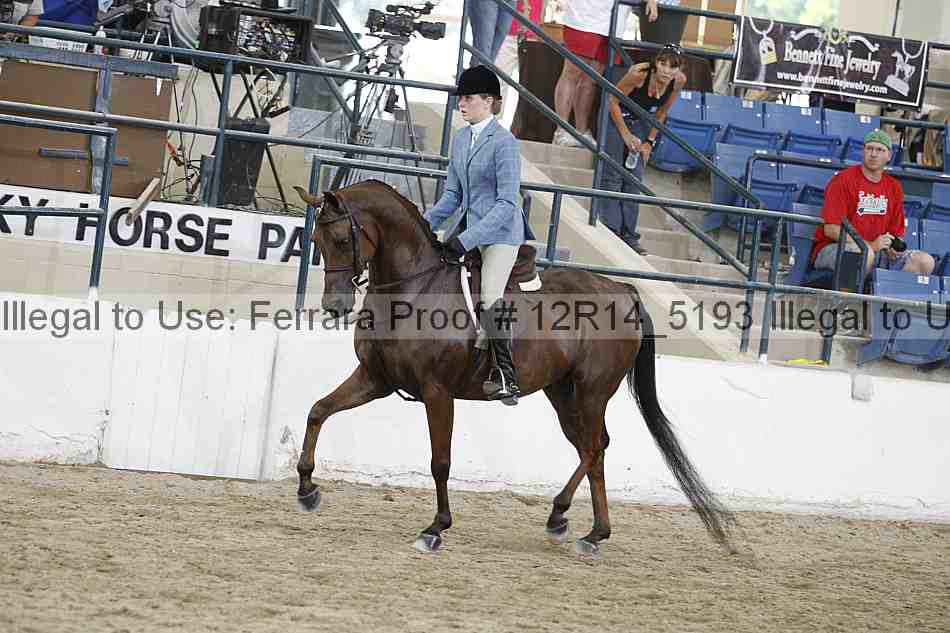 Proof Number 12r14_5193