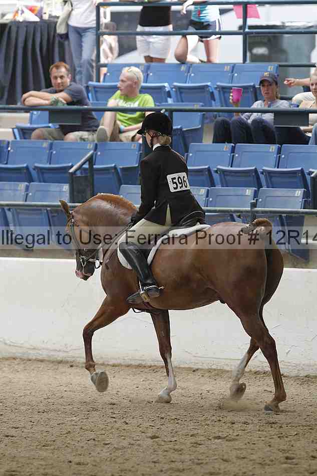 Proof Number 12r14_5198