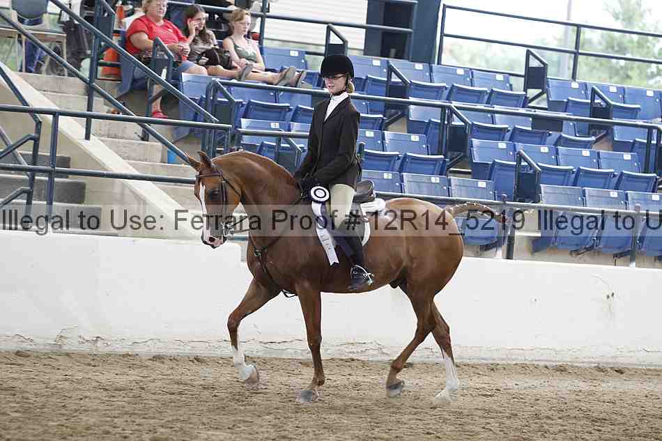 Proof Number 12r14_5219