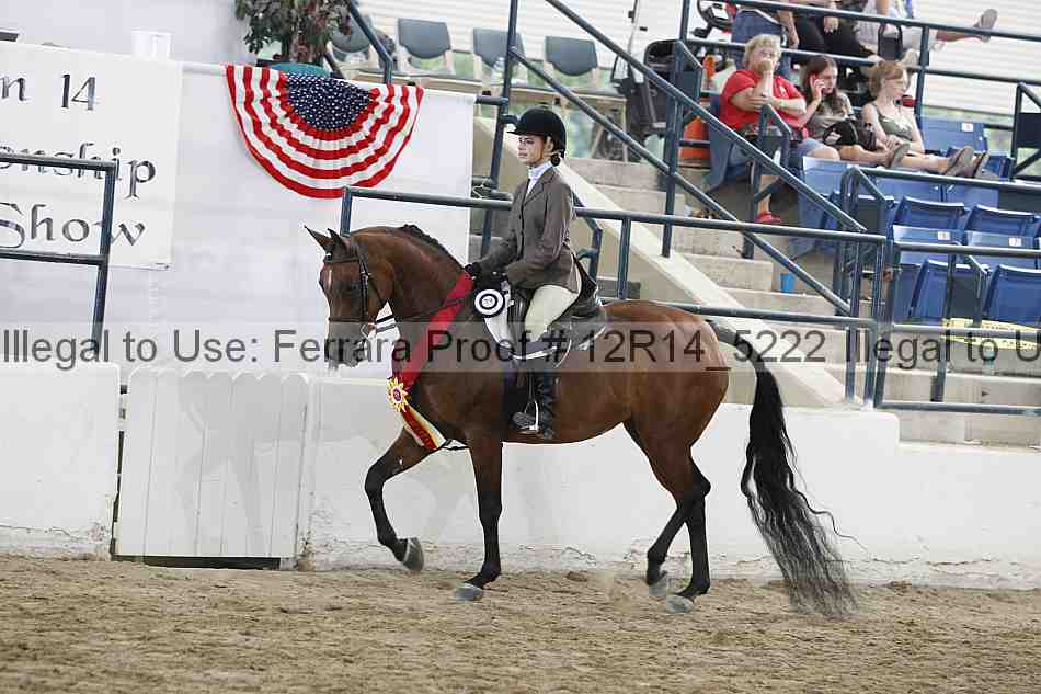 Proof Number 12r14_5222