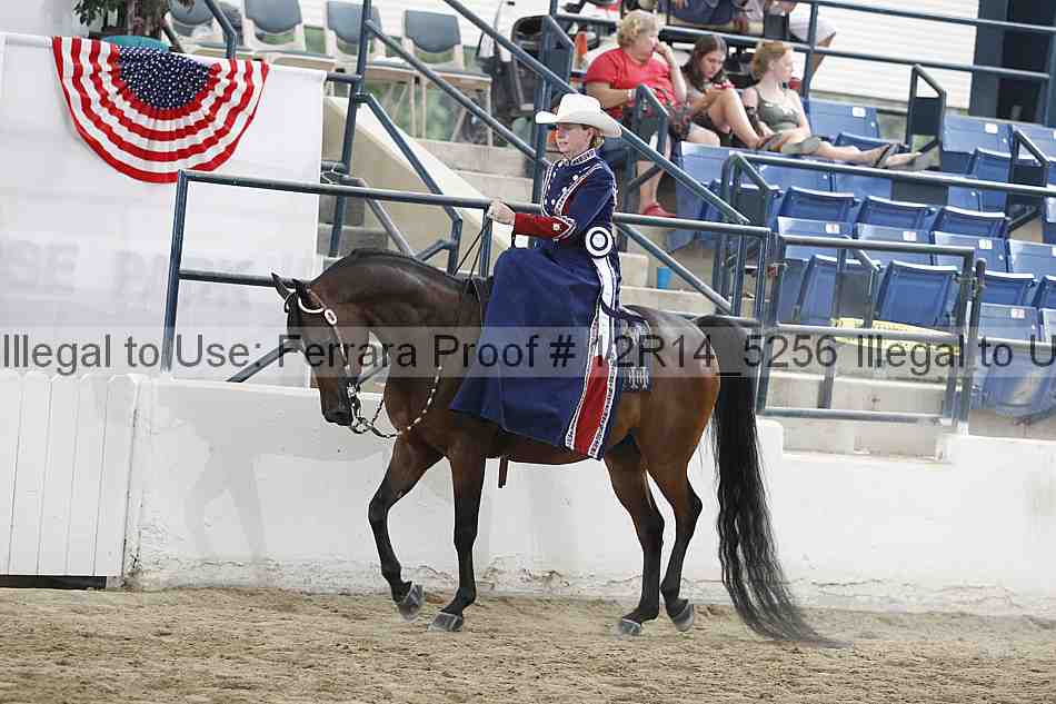 Proof Number 12r14_5256