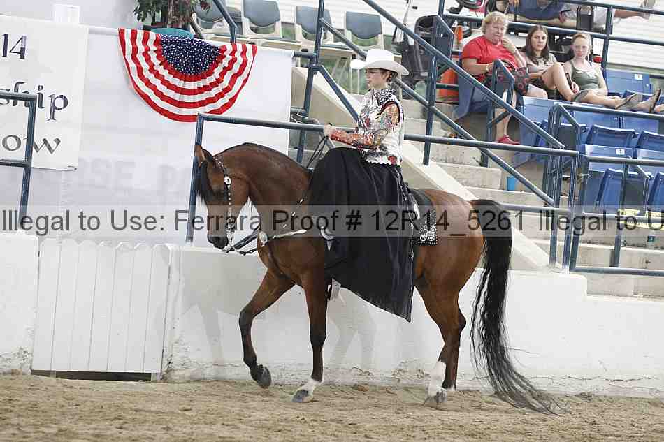 Proof Number 12r14_5261