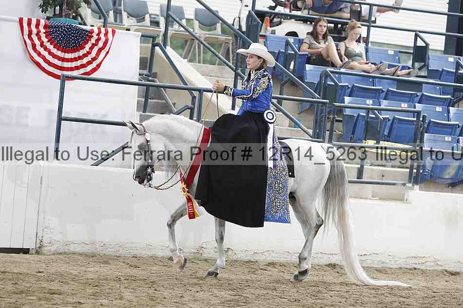 Proof Number 12r14_5263