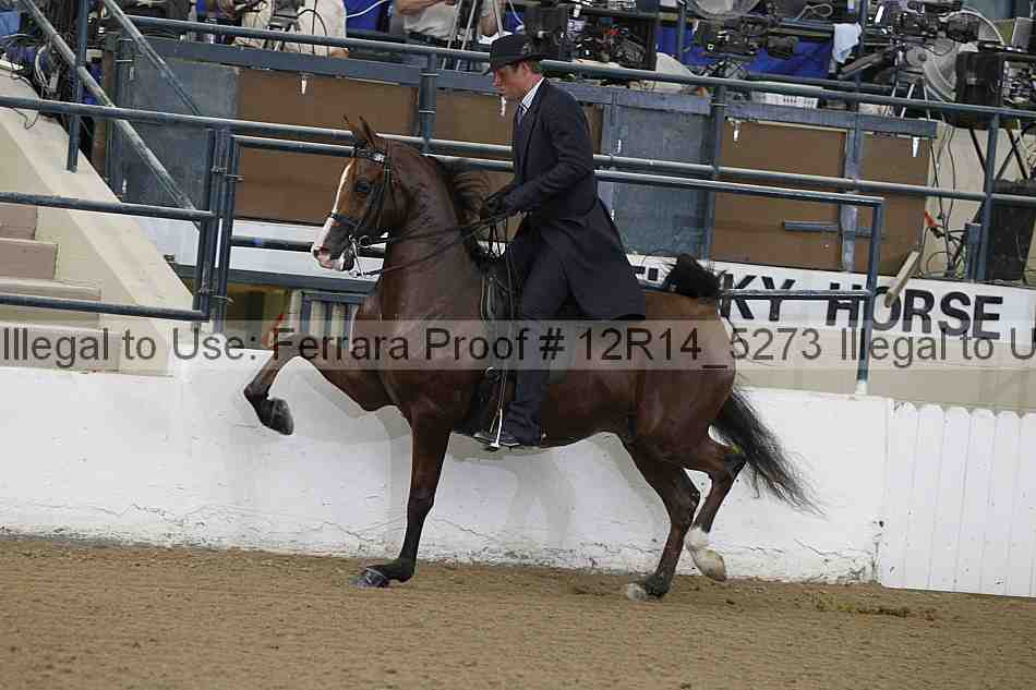 Proof Number 12r14_5273
