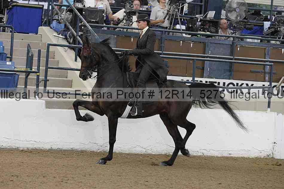 Proof Number 12r14_5275
