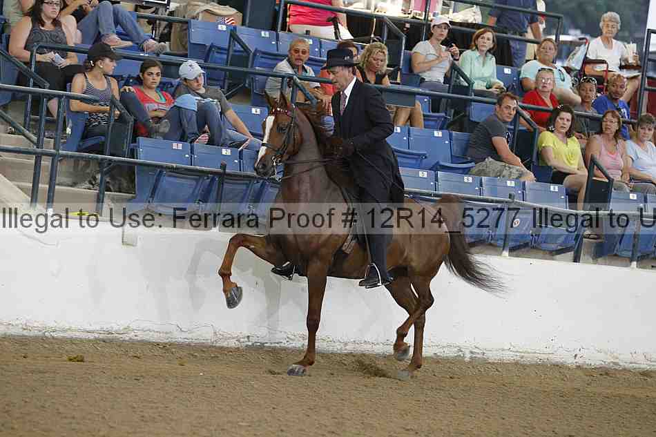 Proof Number 12r14_5277