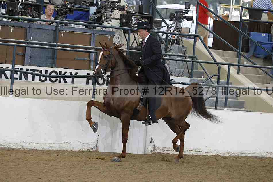 Proof Number 12r14_5278