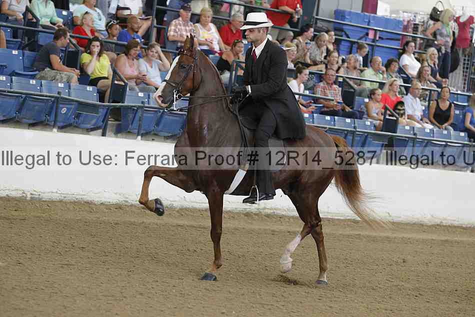 Proof Number 12r14_5287
