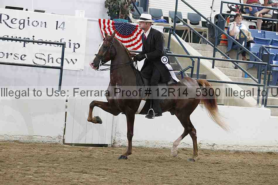Proof Number 12r14_5300
