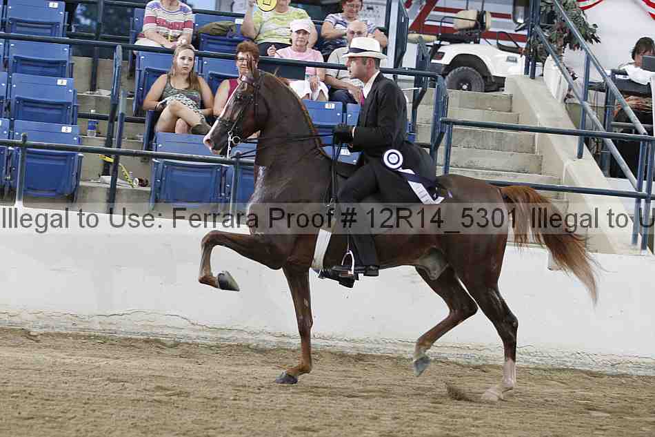 Proof Number 12r14_5301