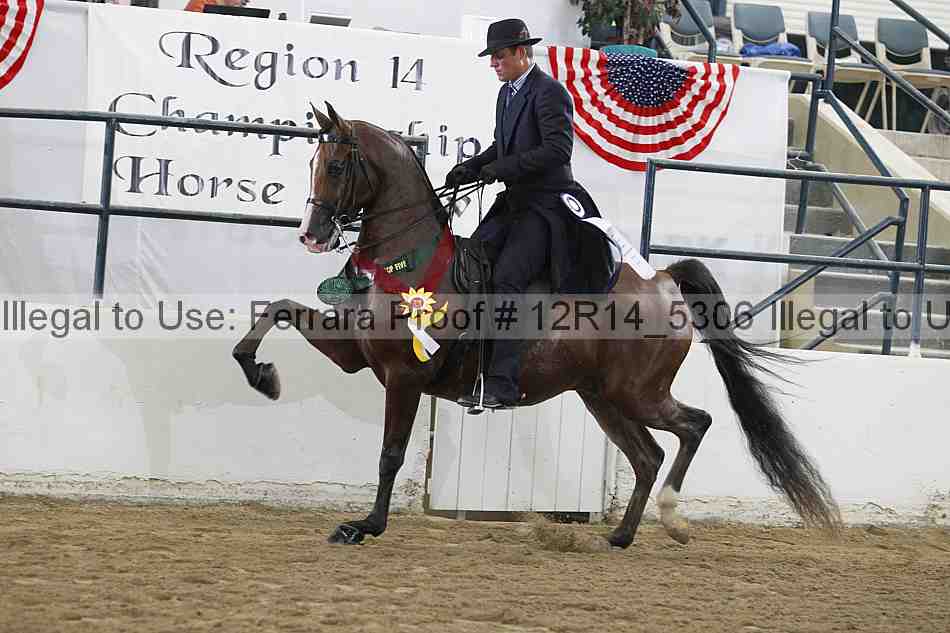 Proof Number 12r14_5306