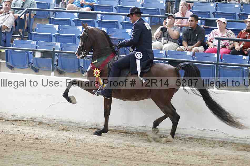 Proof Number 12r14_5307