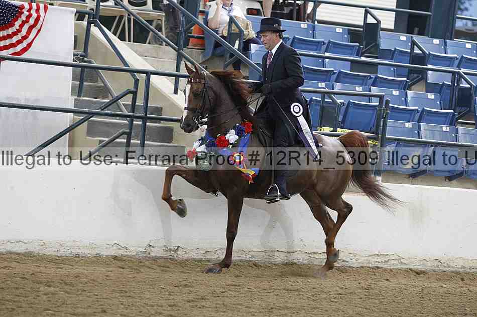 Proof Number 12r14_5309