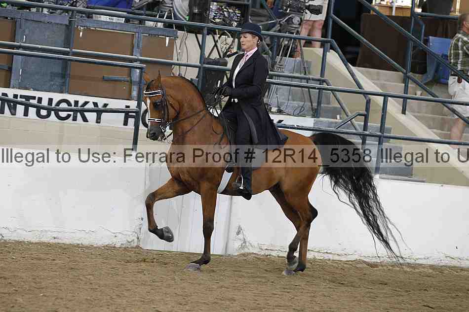 Proof Number 12r14_5358