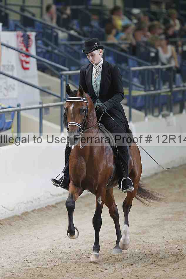 Proof Number 12r14_5366
