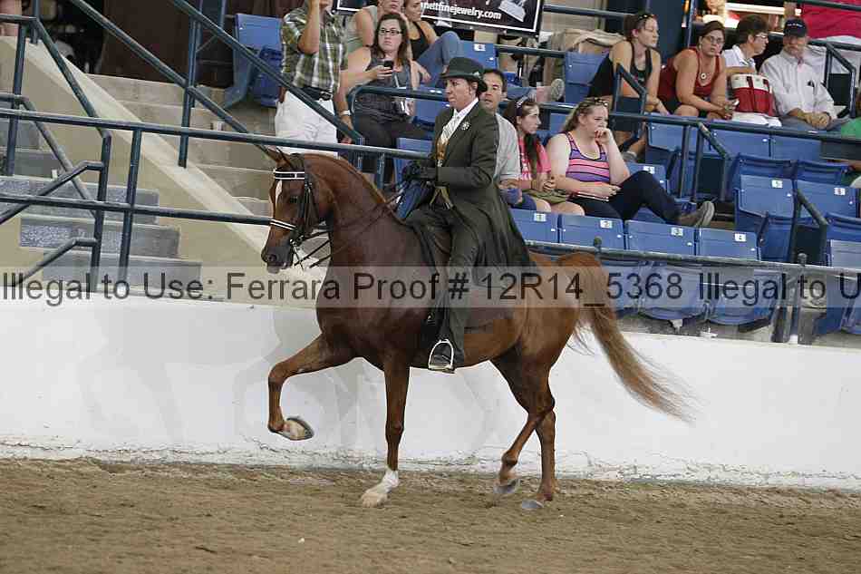 Proof Number 12r14_5368