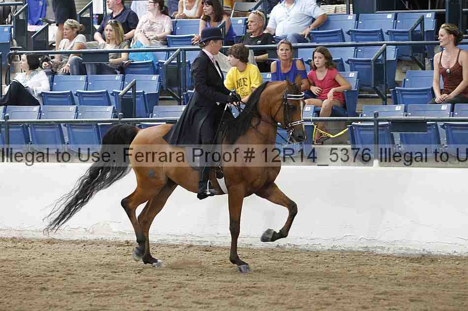 Proof Number 12r14_5376