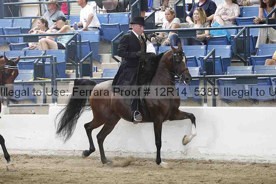 Proof Number 12r14_5380