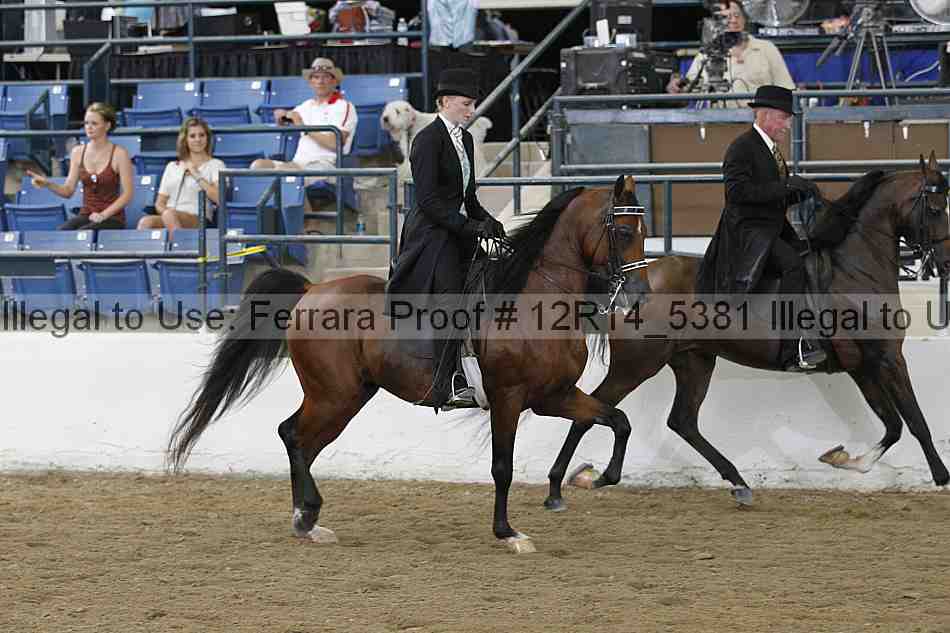 Proof Number 12r14_5381
