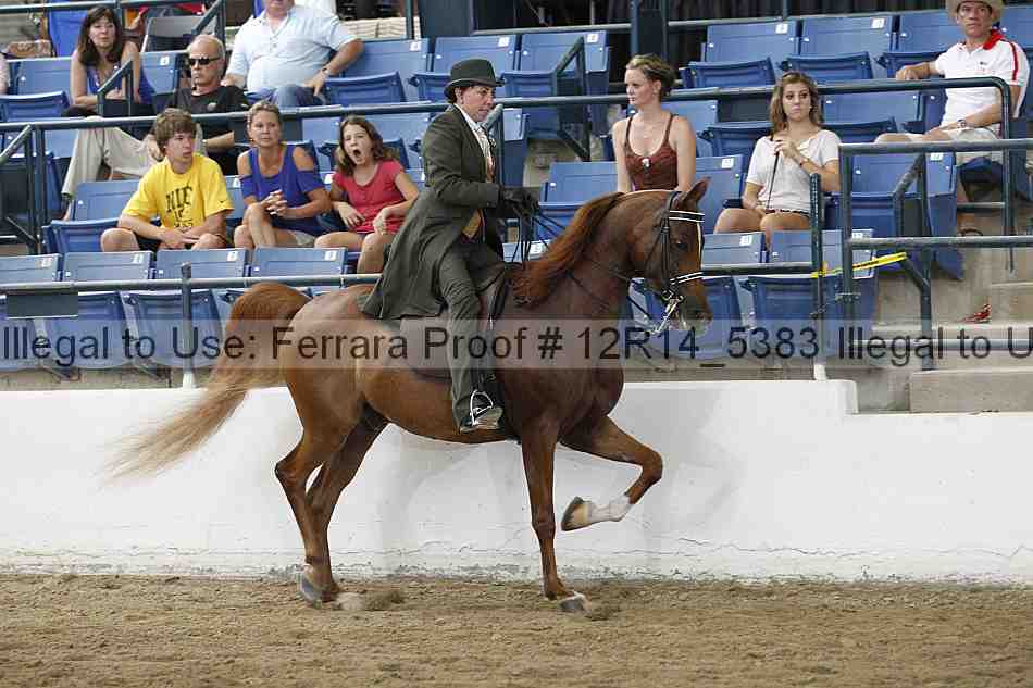 Proof Number 12r14_5383