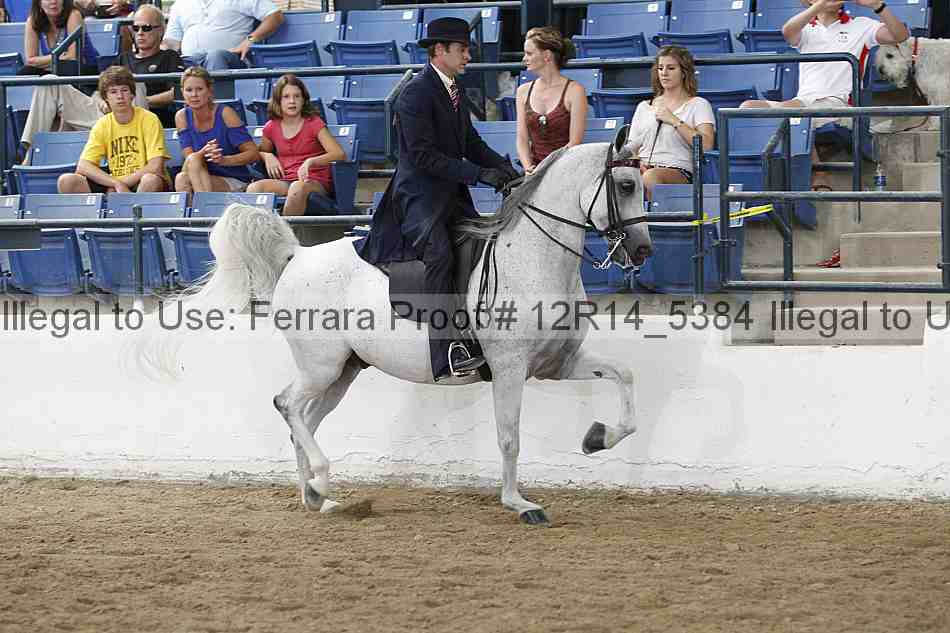 Proof Number 12r14_5384