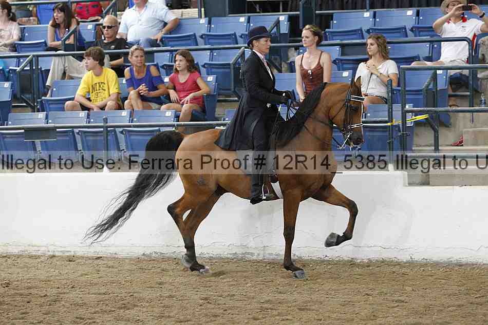 Proof Number 12r14_5385