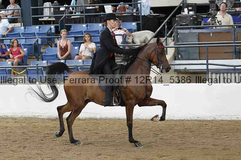 Proof Number 12r14_5386