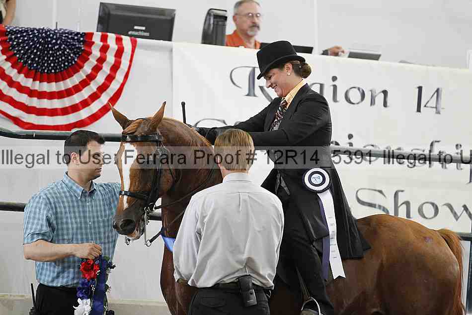 Proof Number 12r14_5391