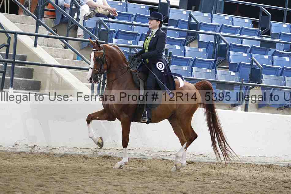 Proof Number 12r14_5395