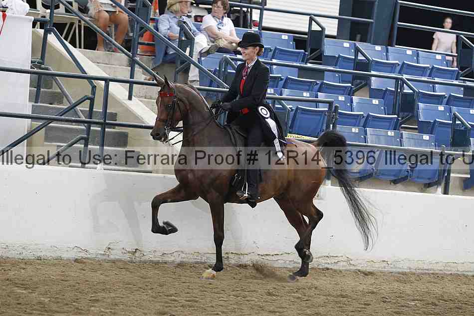 Proof Number 12r14_5396