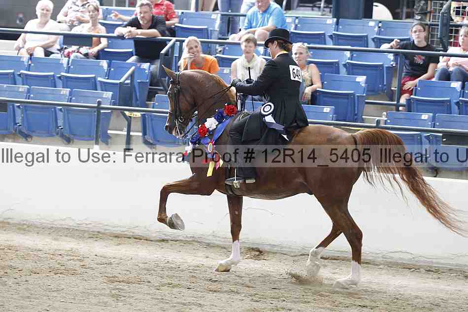 Proof Number 12r14_5405