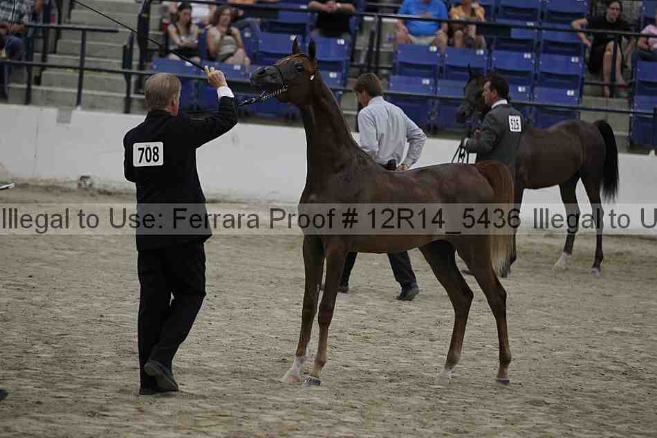 Proof Number 12r14_5436