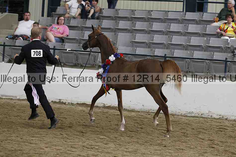 Proof Number 12r14_5460