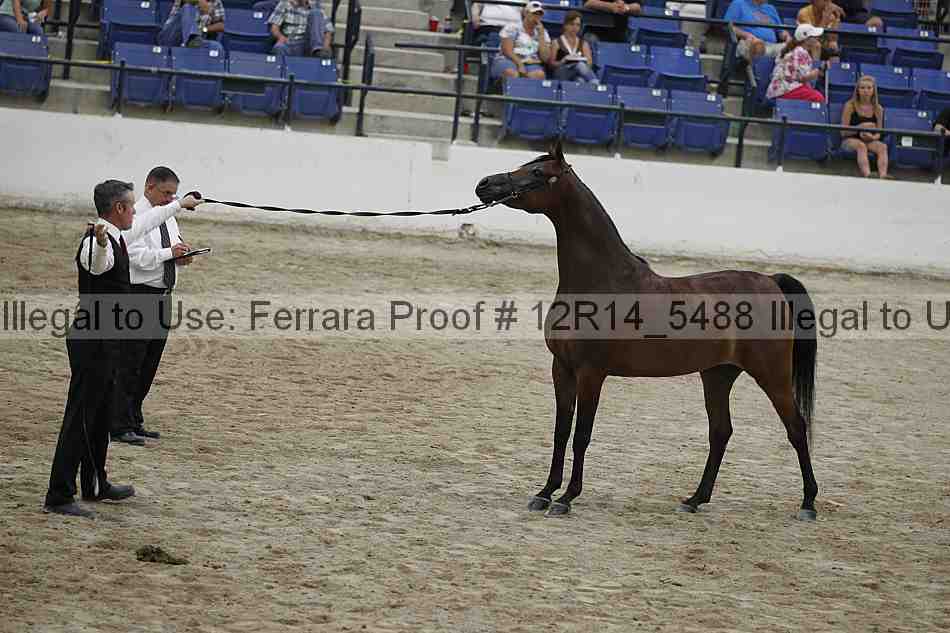 Proof Number 12r14_5488
