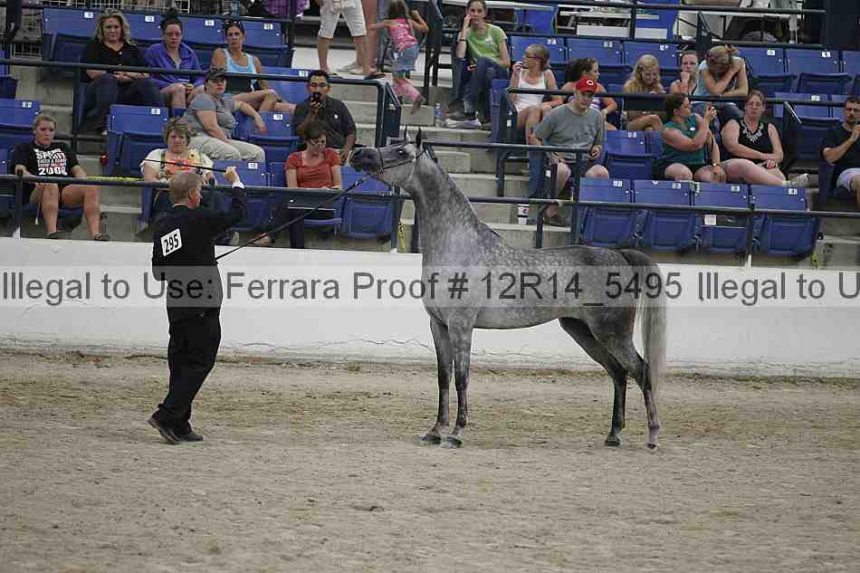Proof Number 12r14_5495