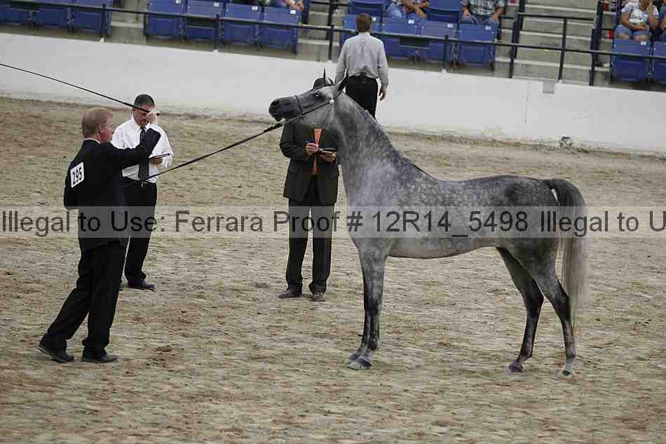 Proof Number 12r14_5498