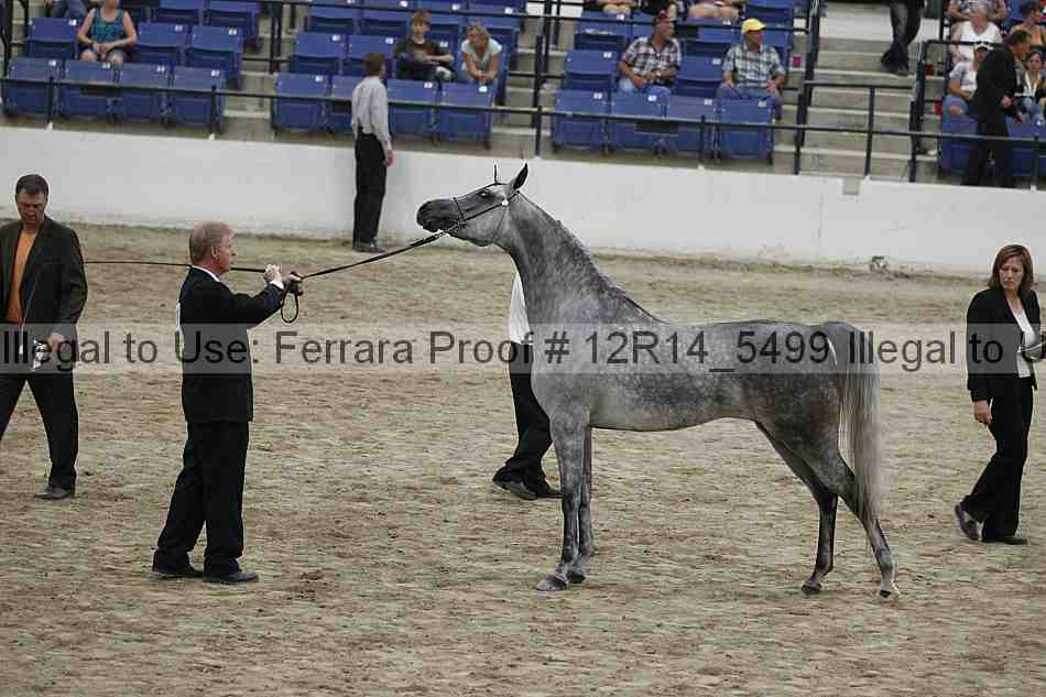 Proof Number 12r14_5499
