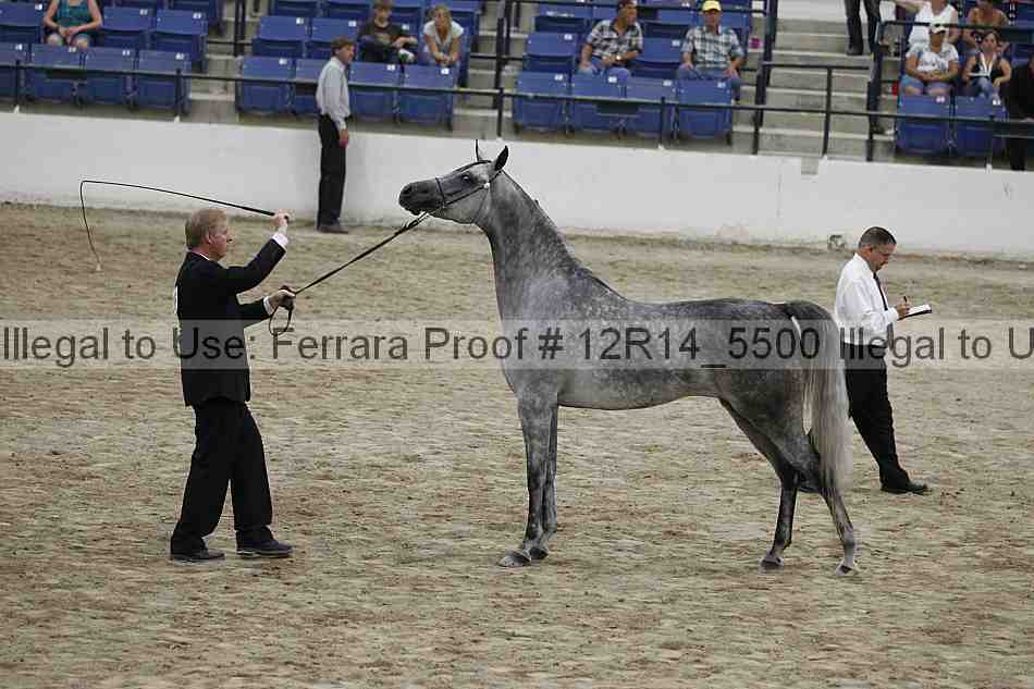 Proof Number 12r14_5500