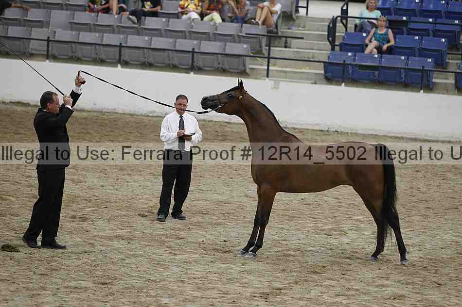 Proof Number 12r14_5502