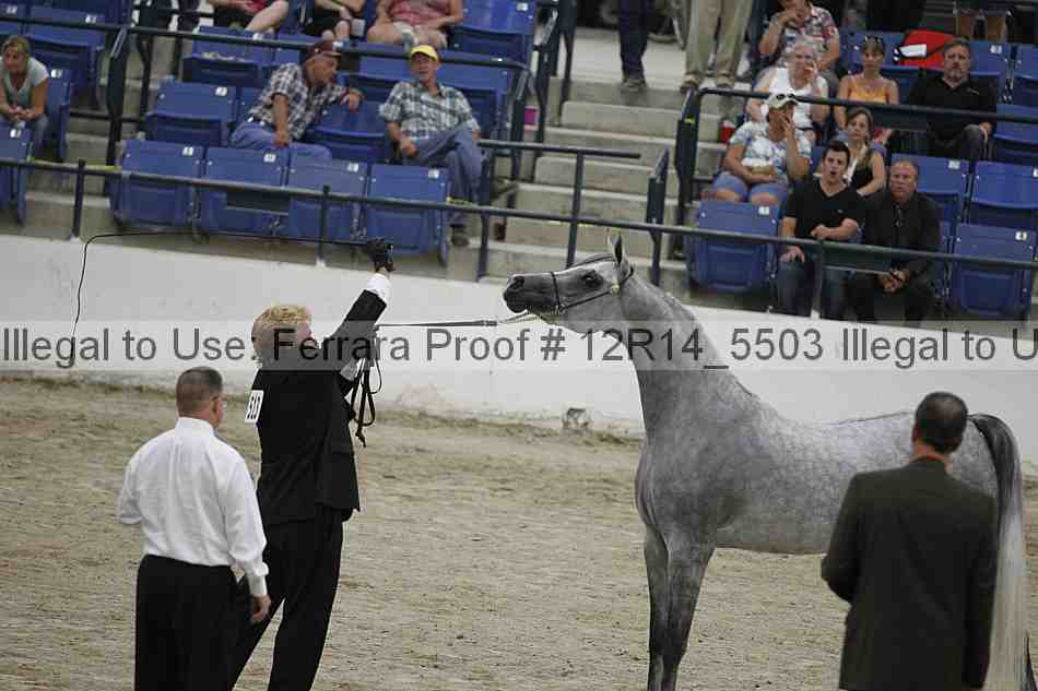 Proof Number 12r14_5503